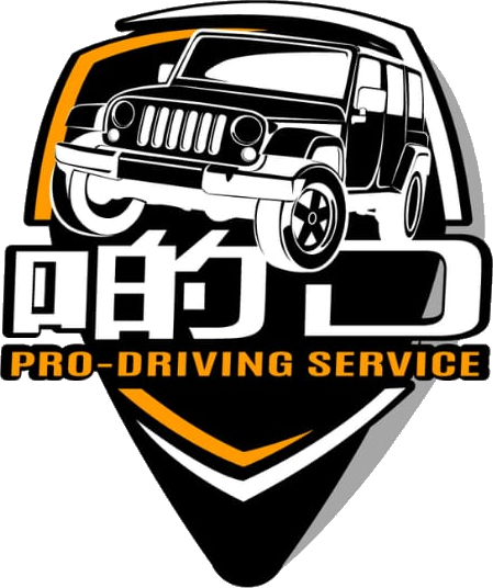 AiDD · Pro-Driving Service